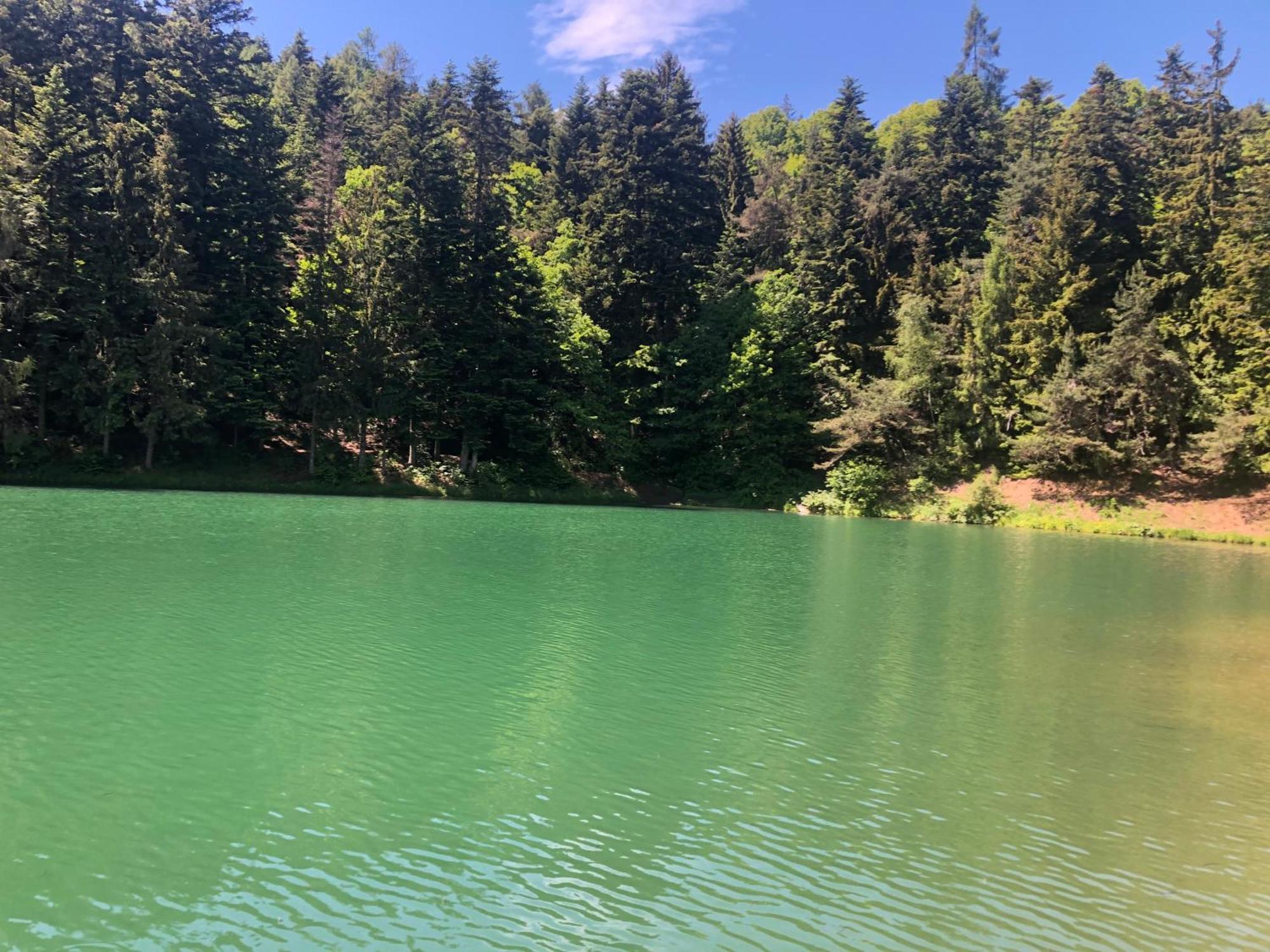 Penzion Eliska Stiavnicke Bane Dış mekan fotoğraf